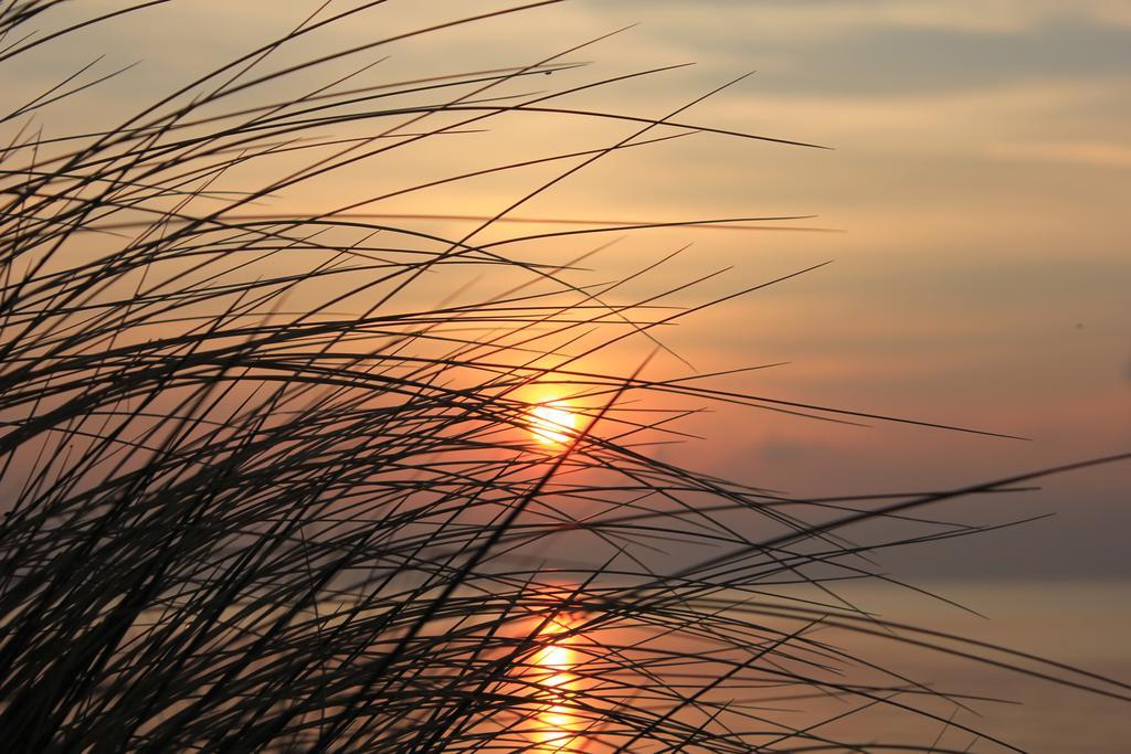 Appartmentanlage Zur Duene Insel Poel Rom bilde