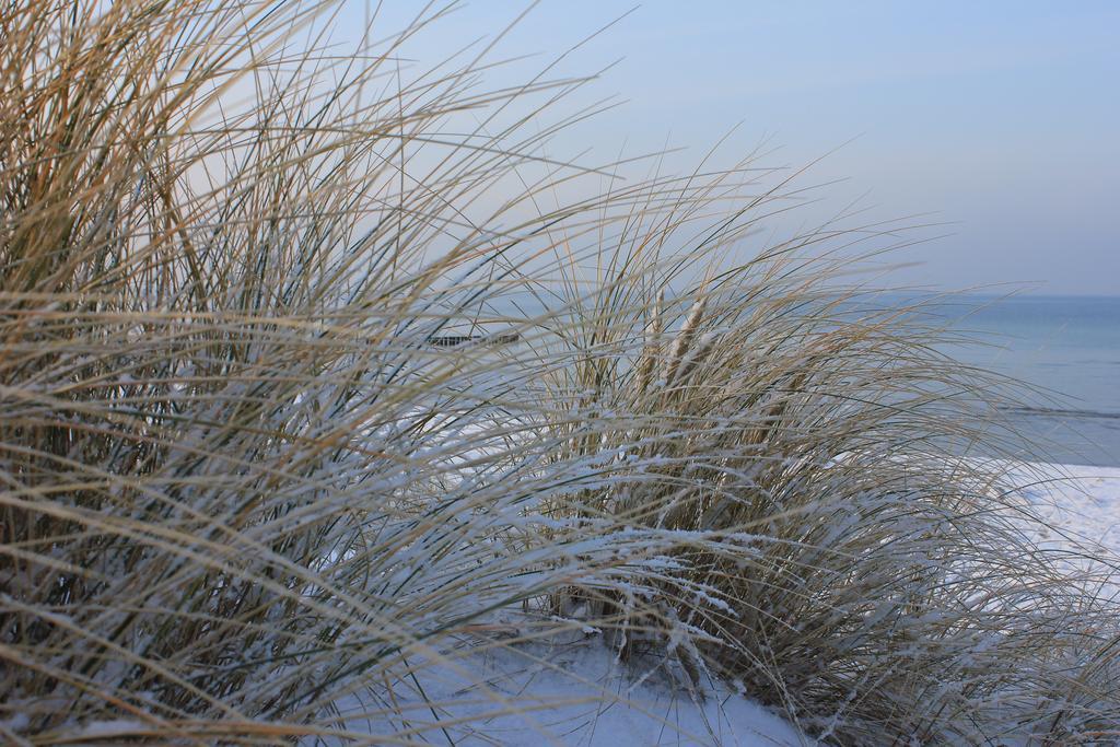 Appartmentanlage Zur Duene Insel Poel Rom bilde